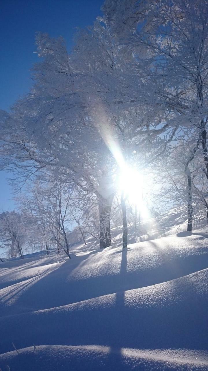 Nozawa Dream Central מראה חיצוני תמונה