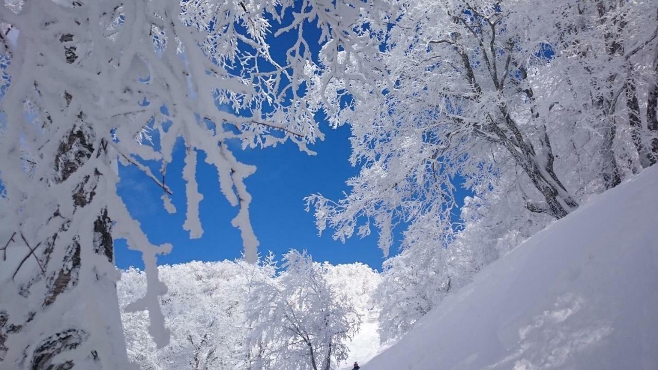 Nozawa Dream Central מראה חיצוני תמונה