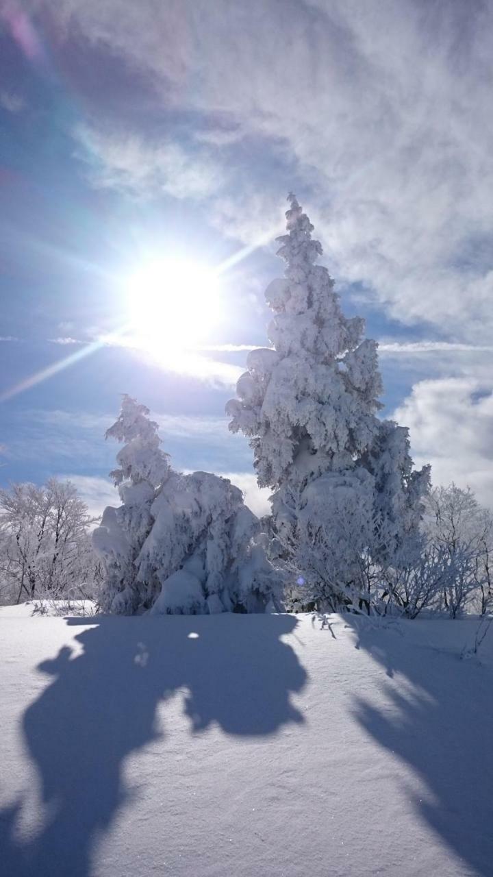 Nozawa Dream Central מראה חיצוני תמונה