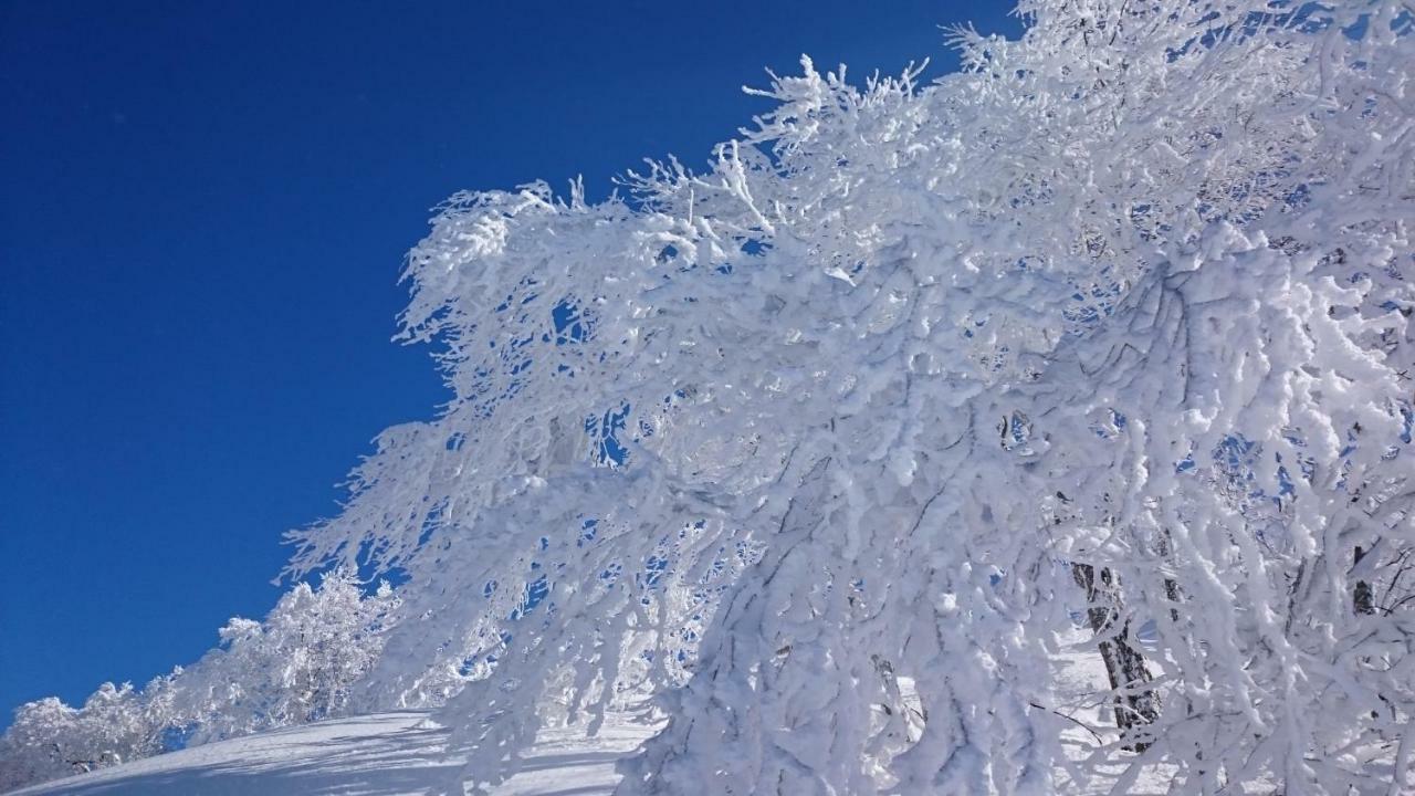 Nozawa Dream Central מראה חיצוני תמונה